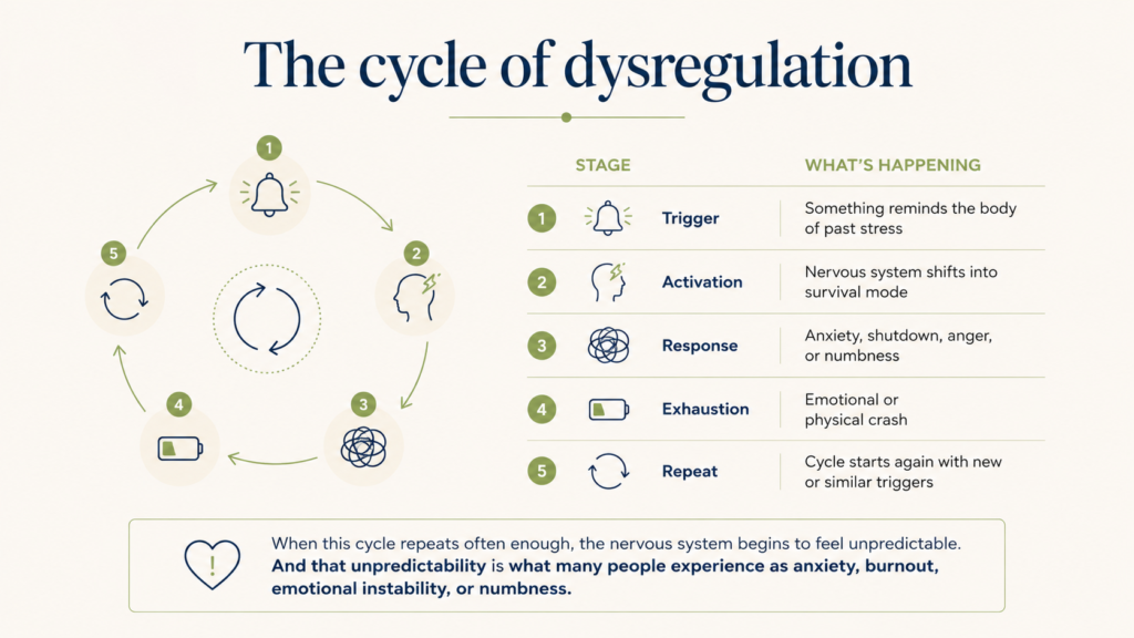 Cycle of nervous system dysregulation from trigger and activation to emotional response, exhaustion, and repetition