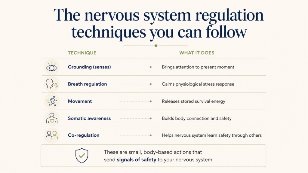 Nervous system regulation techniques including grounding, breath regulation, movement, somatic awareness, and co-regulation
